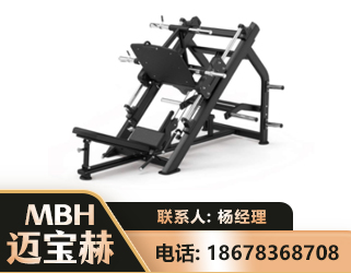 六安45°倒蹬训练器