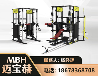 六安多功能综合训练器