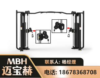 六安大飞鸟训练器