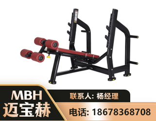六安豪华下斜卧推架